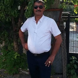 Ramis