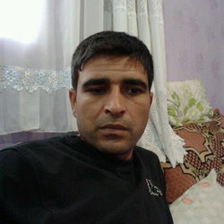 Halim