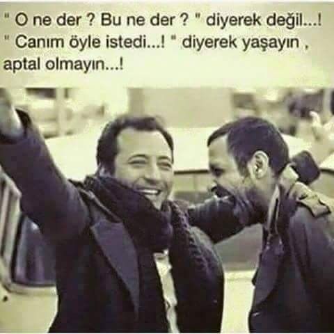 Yilmaz