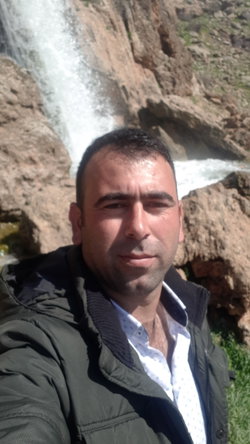 Hakim