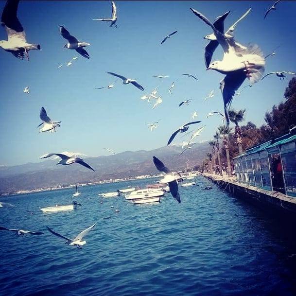 Burak
