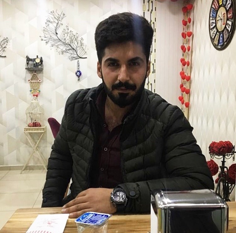 Şahin