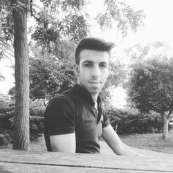 Şahin
