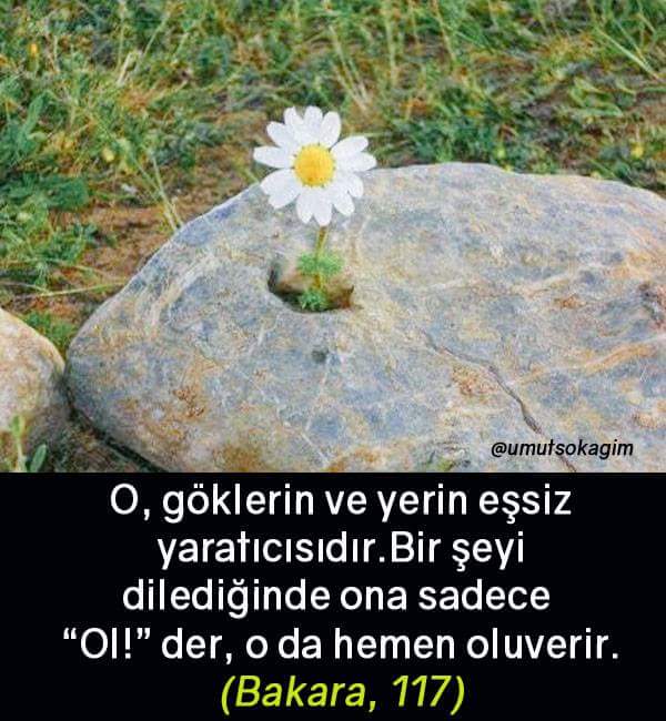 Yasin