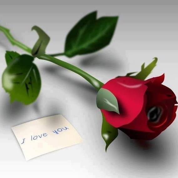 Derya