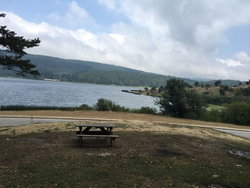 Gül