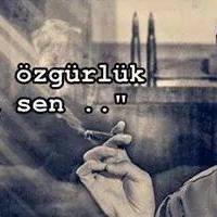 İbo