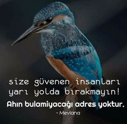 Samsunlu