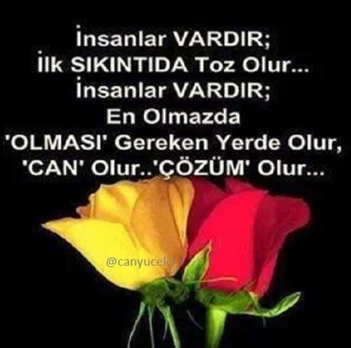 Damla