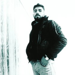 Şevket