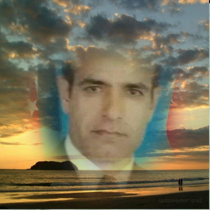 Reis
