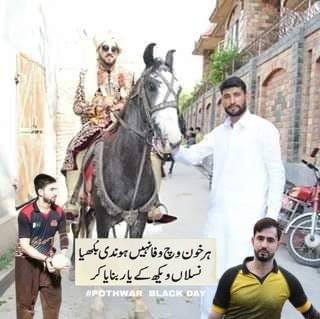 Kashi
