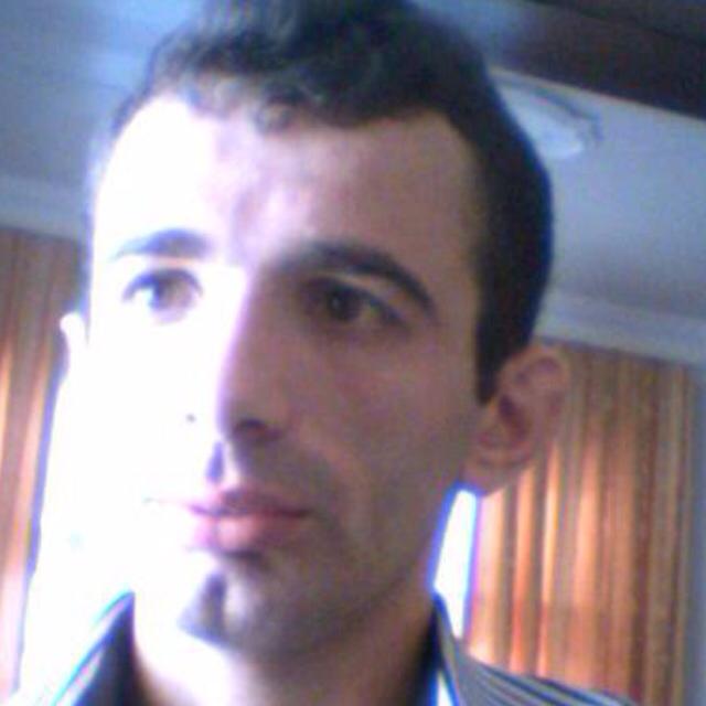 Şahin