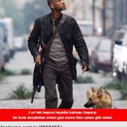 Şafi