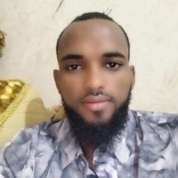 Ahmedin