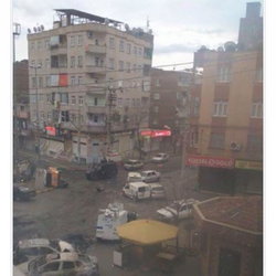 Orhan