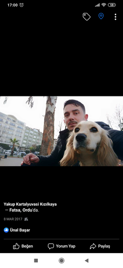 Yakup