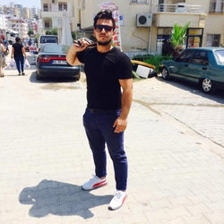 Şahin