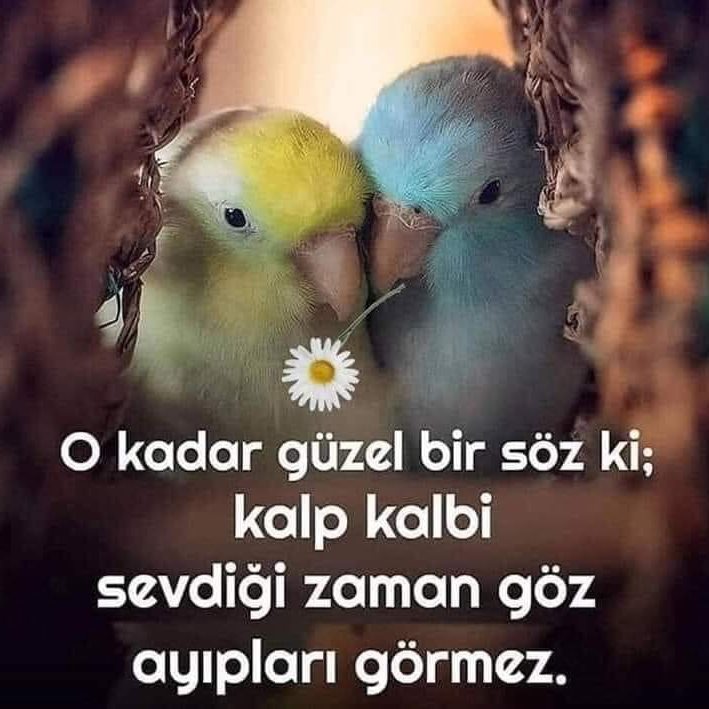 Yasemin