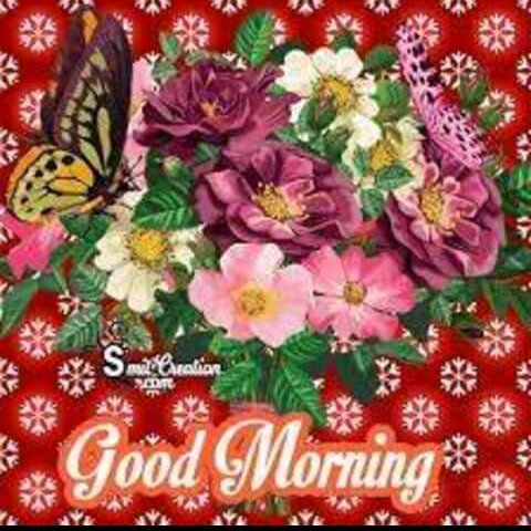 Ritu