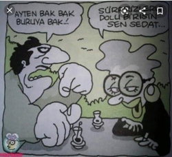 Sedat