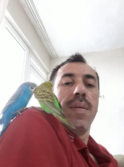 Ahmet