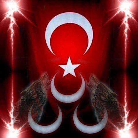 Bozkurt
