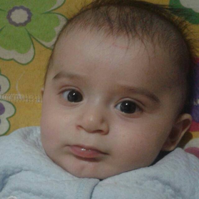 Koray