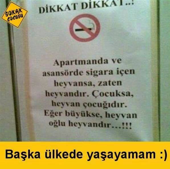 Okan
