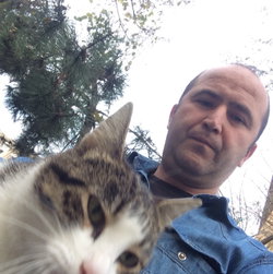 Rifat