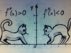 Matematik