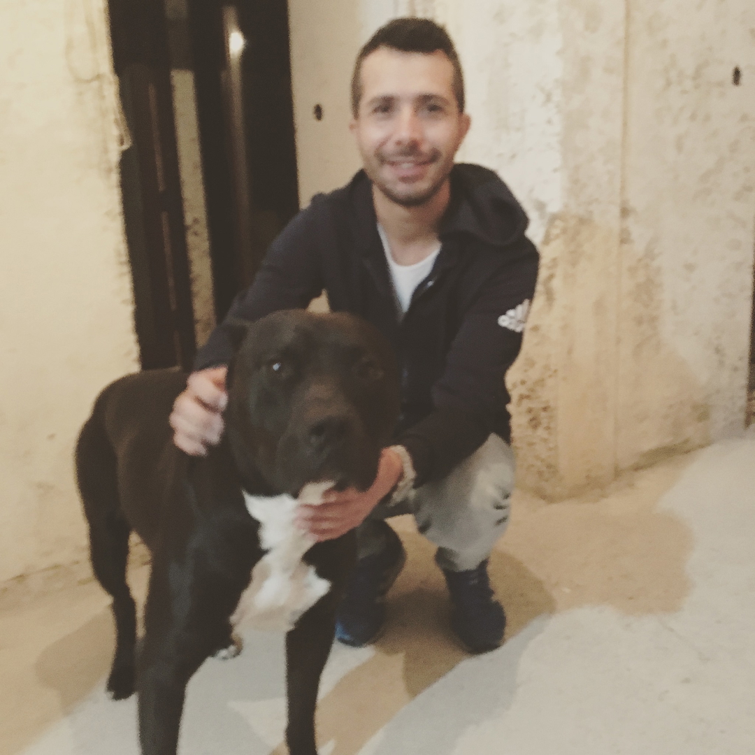 Volkan