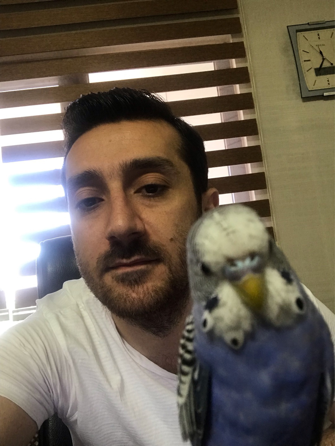 Hasan