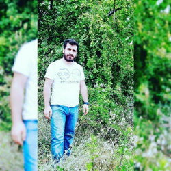 Murat