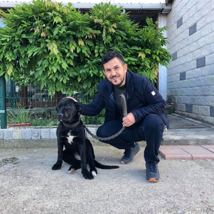 Derviş