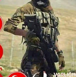 Bozkurt