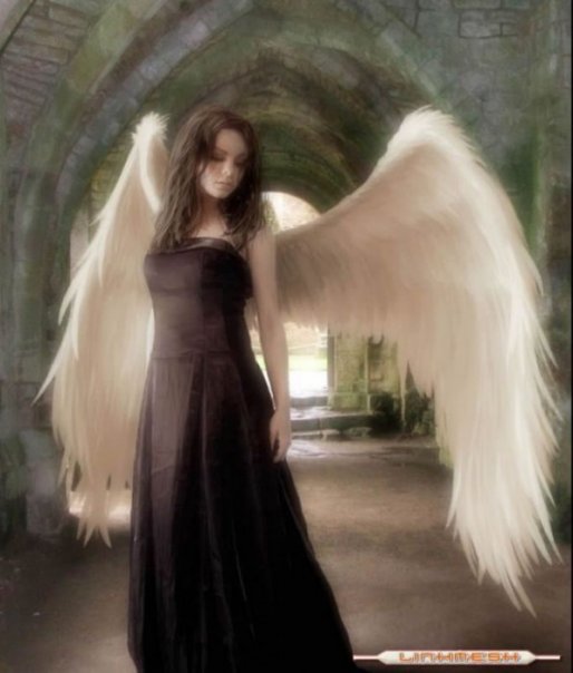 Nazli
