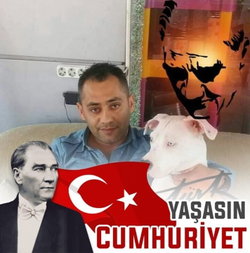 Viranşehir