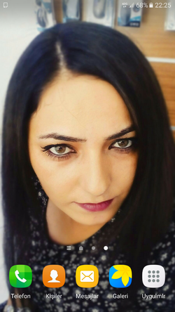 Enes