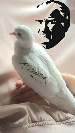 Zeynep
