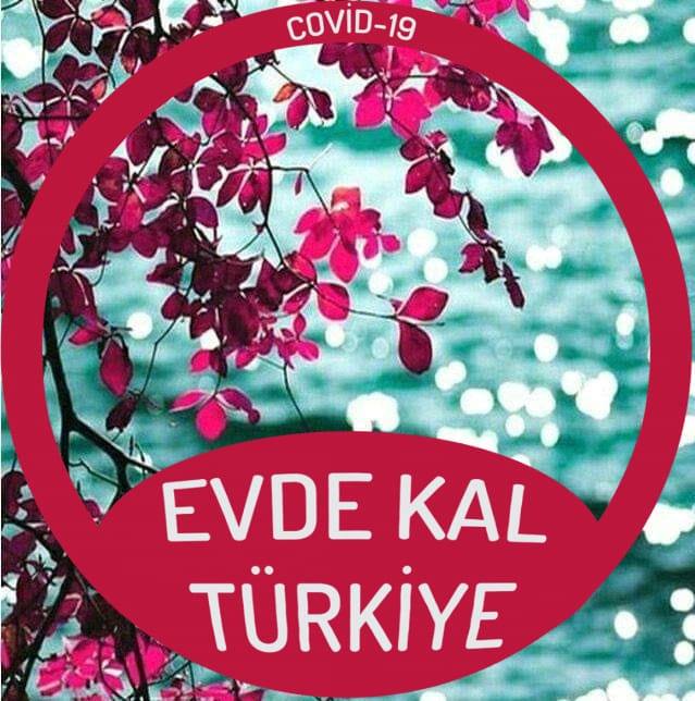İnci