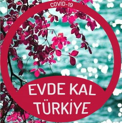 İnci