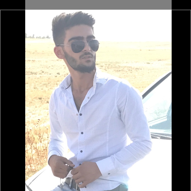 Doğan