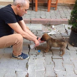 Ahmet