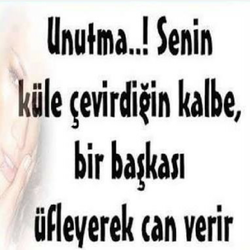 Çınar
