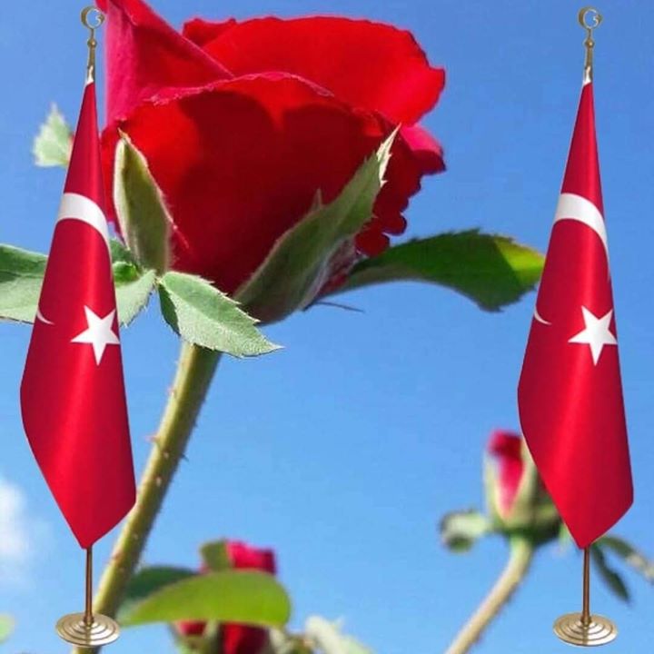 Berat