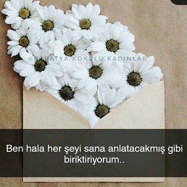 Duygu