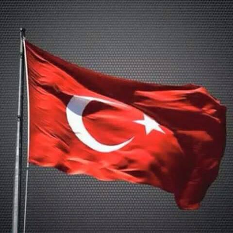 Sezgin