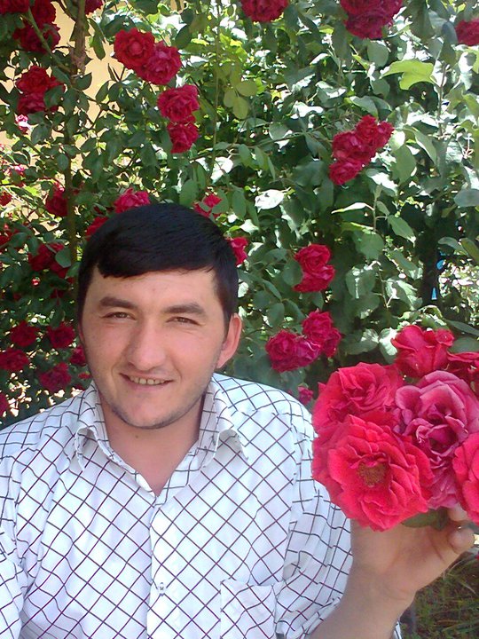 Ersin