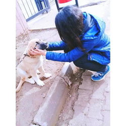 Elif